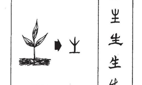 槽米的功效与作用及营养价值-专业槽毙平台-槽米怎么做好吃